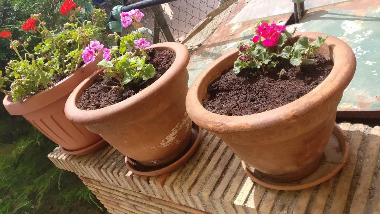 Punta Aderci Rooms Vasto Zewnętrze zdjęcie